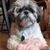 Betty Ann Phelan's profile image