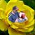Ja Boles's profile image
