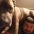 Will Sampson's profile image