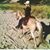 Kristeen Becker's profile image