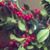 Holly Haley Rudick's profile image