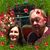 Vivian Chastain's profile image