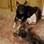 Pattie Brown Binda's profile image