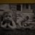 Gwen West-Reichert's profile image