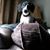 Jennifer Poole-Brescia's profile image