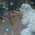 Diane Mary's profile image