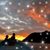 Susan Matusiak's profile image