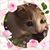 Andrea Mishler's profile image