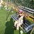 Sahil Ansari's profile image