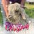 Pam Metts Boyer's profile image