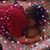Tina Fowler's profile image