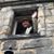 Steve Goodman's profile image