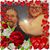 Marie Slease Cahill's profile image