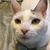 Terri Dean Williams's profile image