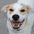 Jason P Barter's profile image