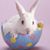 Deb Leverentz's profile image