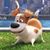 Tim Casto's profile image