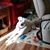 Roxanne Dinsmore's profile image