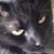 Sharon Bausinger Cawley's profile image