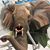 Pete Chang's profile image