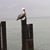 Sue Kelly's profile image