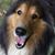 Mary Ann Bartko's profile image
