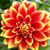 Vicki Miller Trudeau's profile image