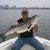 Jack Jandreau's profile image