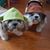 David Chung Lynn Tollefson's profile image