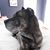 Murphy Presa's profile image
