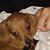 Karen Hackl Hunt's profile image