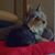 Ron Dotson's profile image