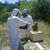 Gerard Honeybees's profile image