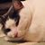 Mikey Nordman's profile image