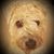 Michelle O'Neill's profile image