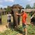 Patti Rauch Killeen's profile image