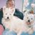 Janice Donahower's profile image