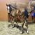 Brenda Reiswig's profile image