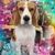 Colleen Tinlin's profile image