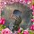 Jo Ann Timko Platt's profile image
