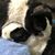 Julie O'Donnell's profile image