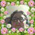 Margaret Noone Whitehead's profile image