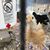 Mary Schoene's profile image