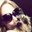 Mander C's profile image