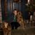 Tami Tessling's profile image