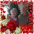 Sharon Deyton's profile image