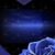 Tracy Campbell's profile image