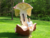 Olivia G.'s profile image