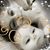 Kellie Williams's profile image