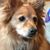 Peter Railey's profile image